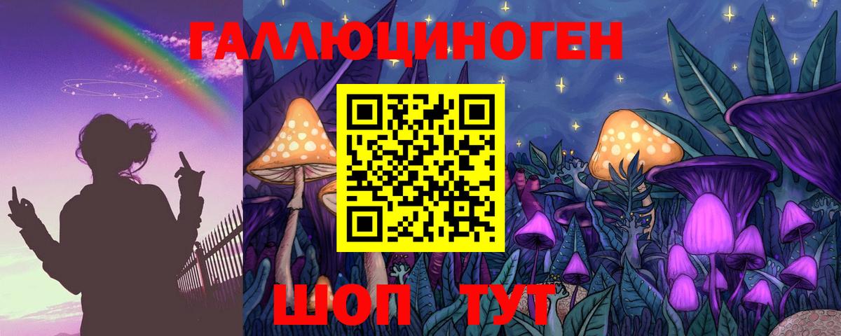 Галлюциногенные грибы Psilocybine cubensis Сегежа
